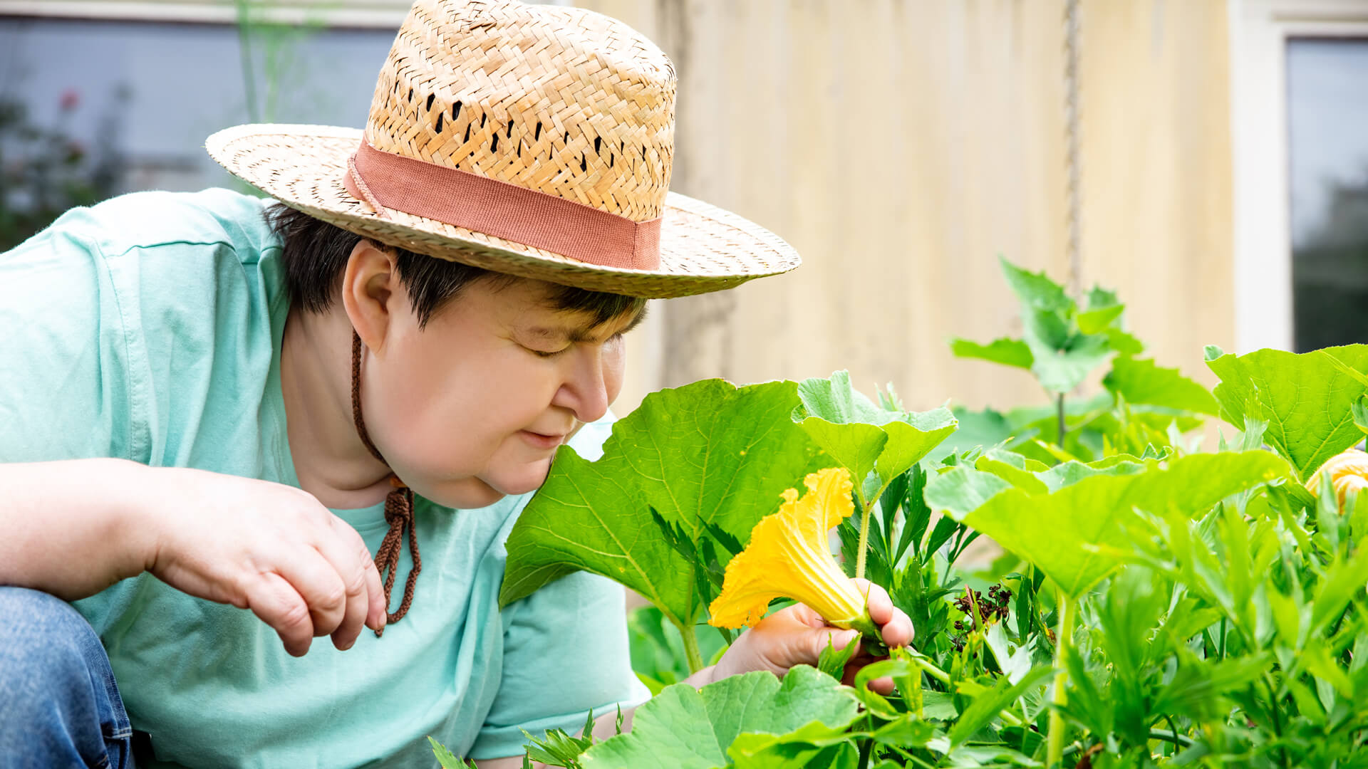 Person in straw hat examining squash plants in a garden.