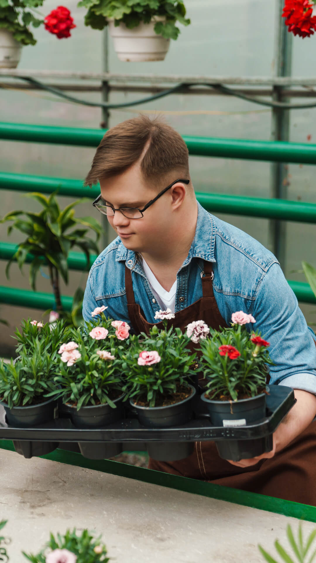 Person in denim caring for potted flowers.